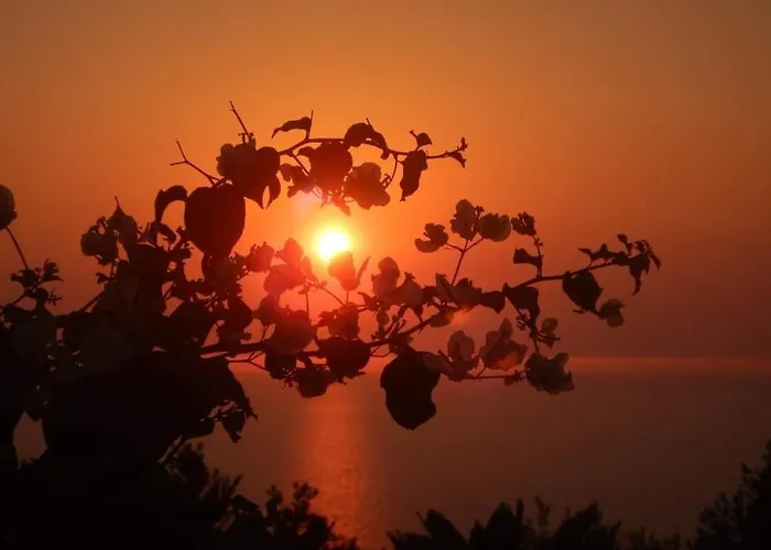 Oda ve Kahvaltı Bb La Guardiia