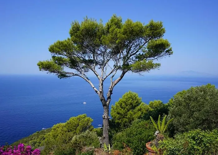 Oda ve Kahvaltı Bb La Guardiia 4*