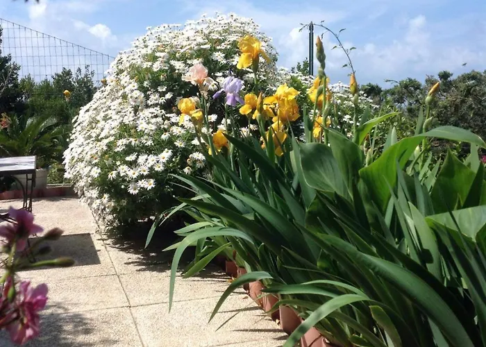 Bb La Guardiia Oda ve Kahvaltı 4*