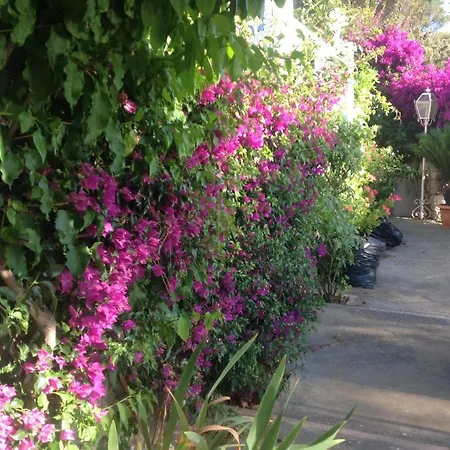 Bed & Breakfast Bb La Guardiia