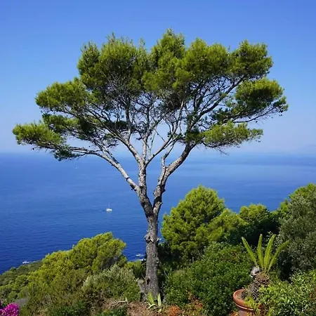 Bed & Breakfast Bb La Guardiia 4*